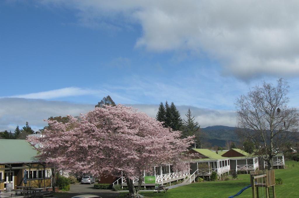 Turangi Bridge Motel Zewnętrze zdjęcie